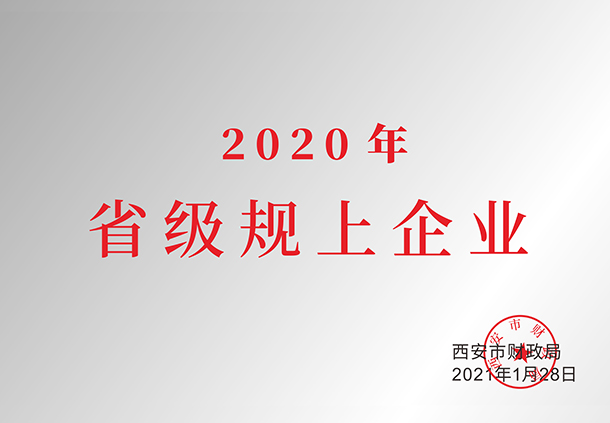 2020年省級規上(shàng)企業