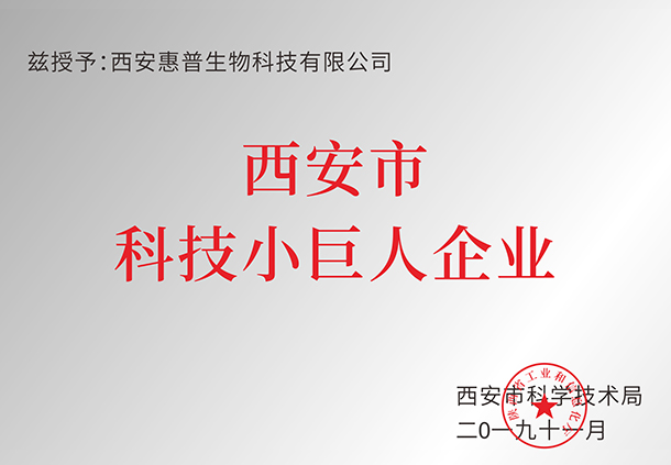 西安市科技小(xiǎo)巨人企業